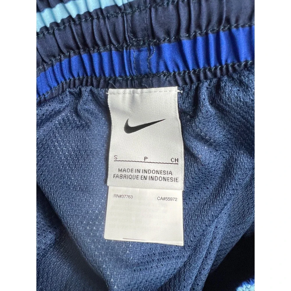 Nike Mens Swim Volley Shorts Blue Ombre Striped Trunks NESSD545-440 Small NWT